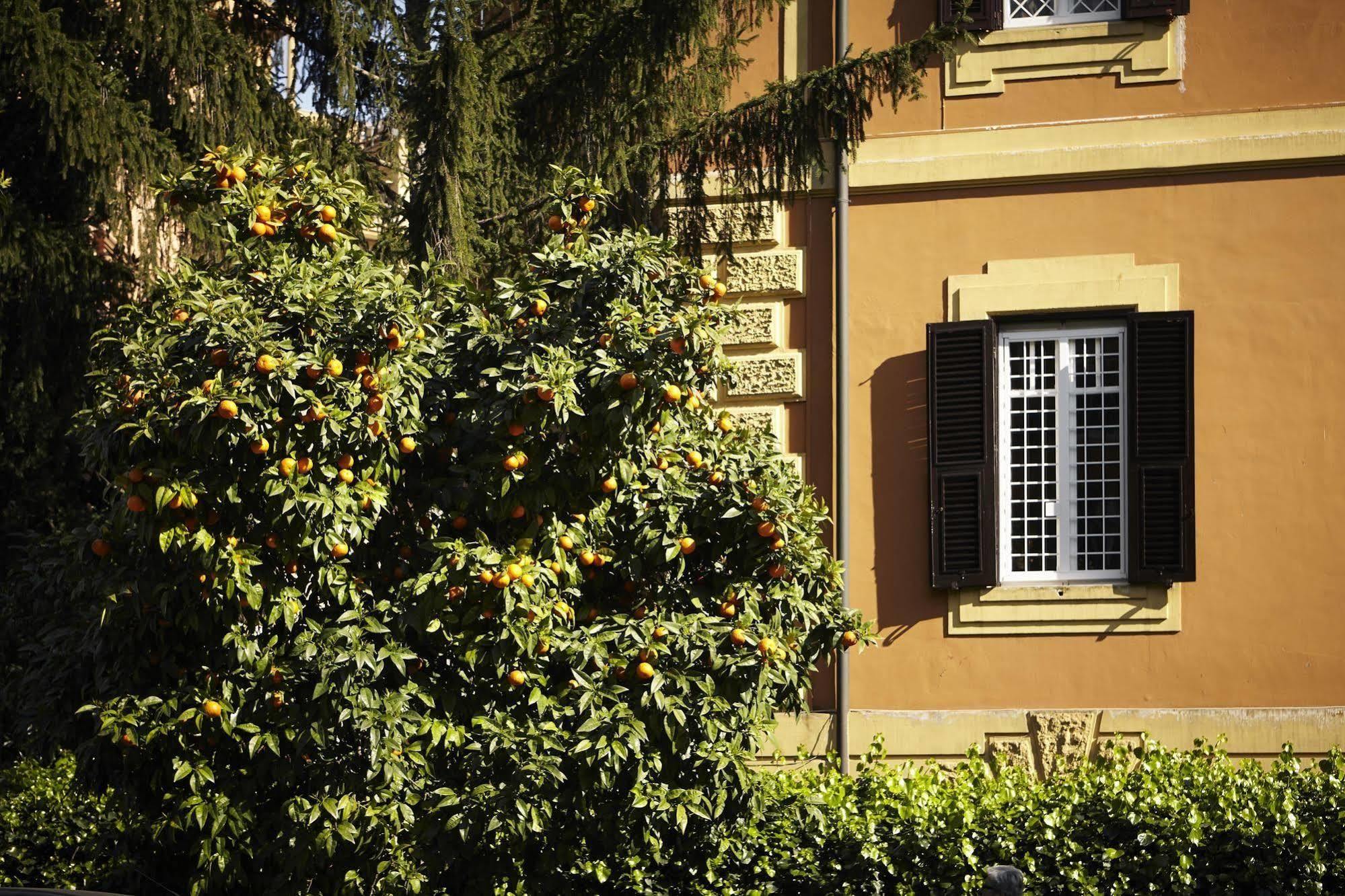 21 Aprile House Bed & Breakfast - Rome — Foto 2